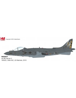Harrier II AV-8B 165425, VMA-542, US Marines, 2019